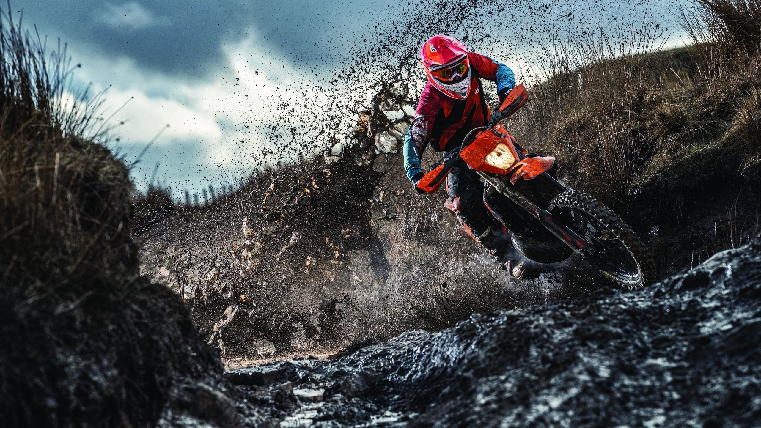 Brown 攻守两端均表现出色